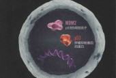抑癌基因 破译癌症密码的基因 (英)休·阿姆斯特朗