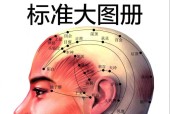 人体经络穴位标准大图册 吴中朝